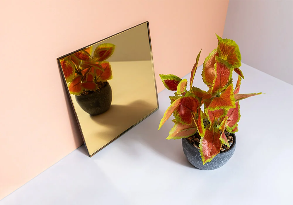 Standard Mirror