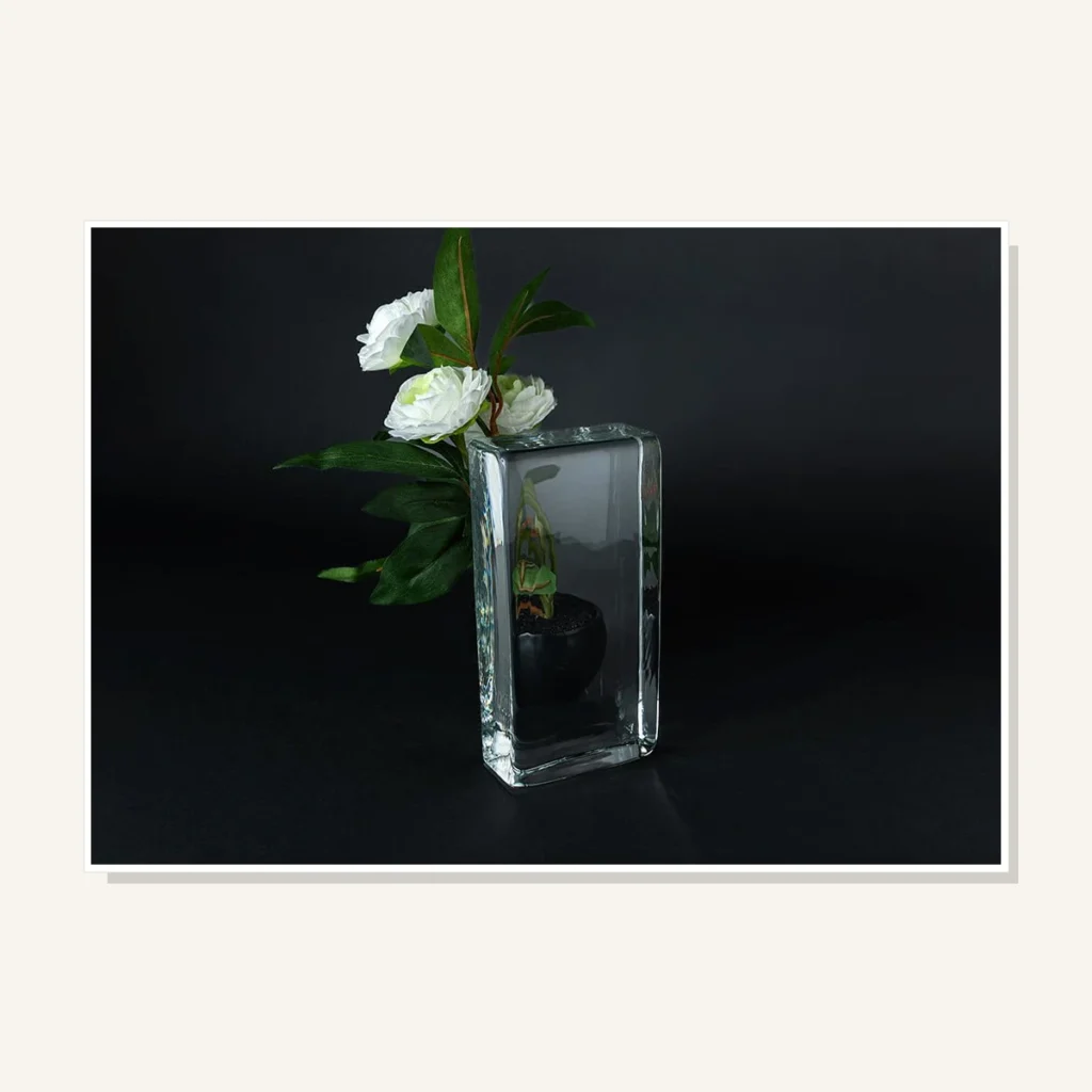 CVG-BRI001