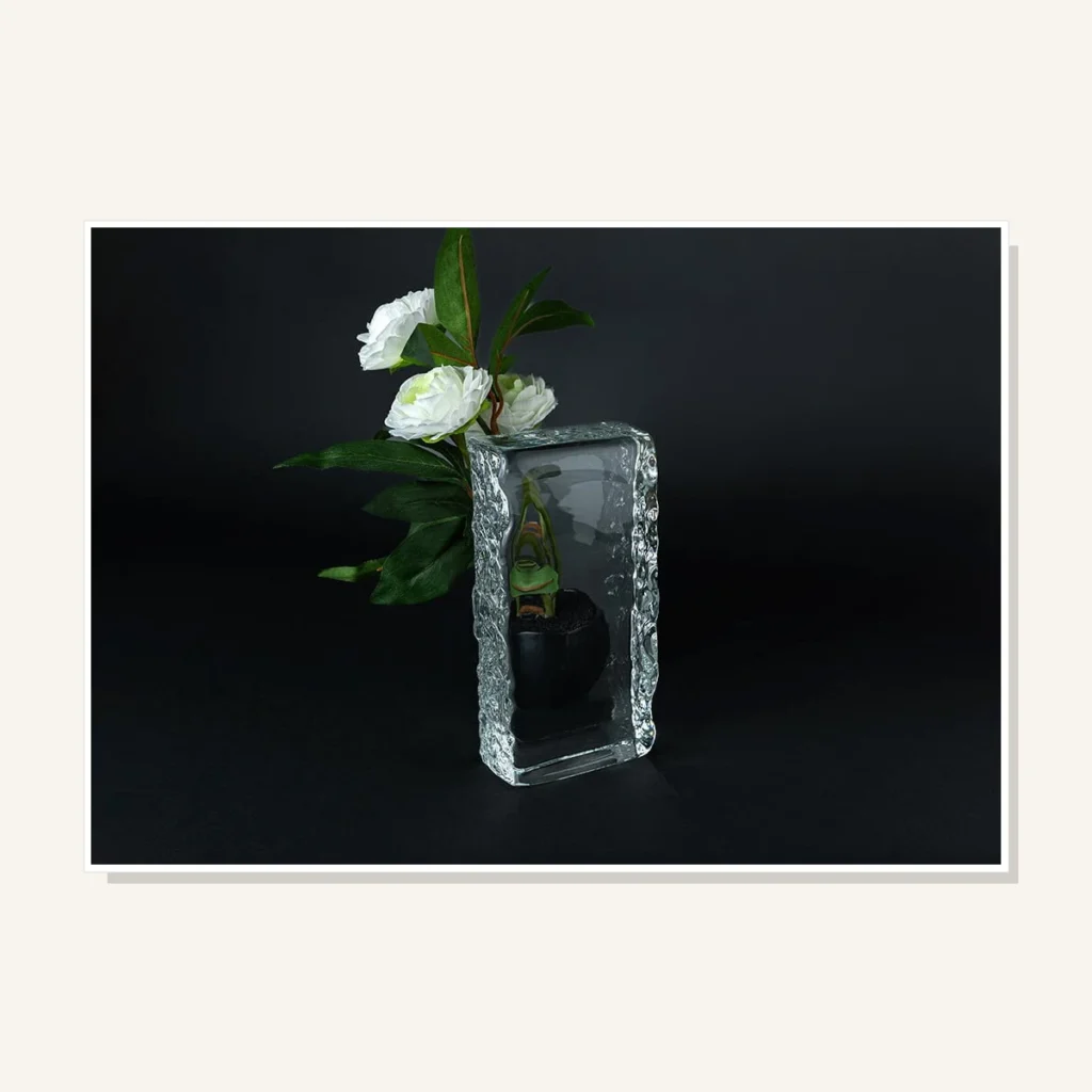 CVG-BRI002