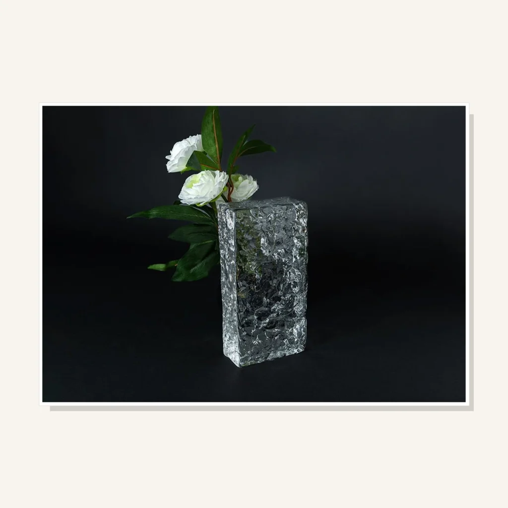 CVG-BRI003