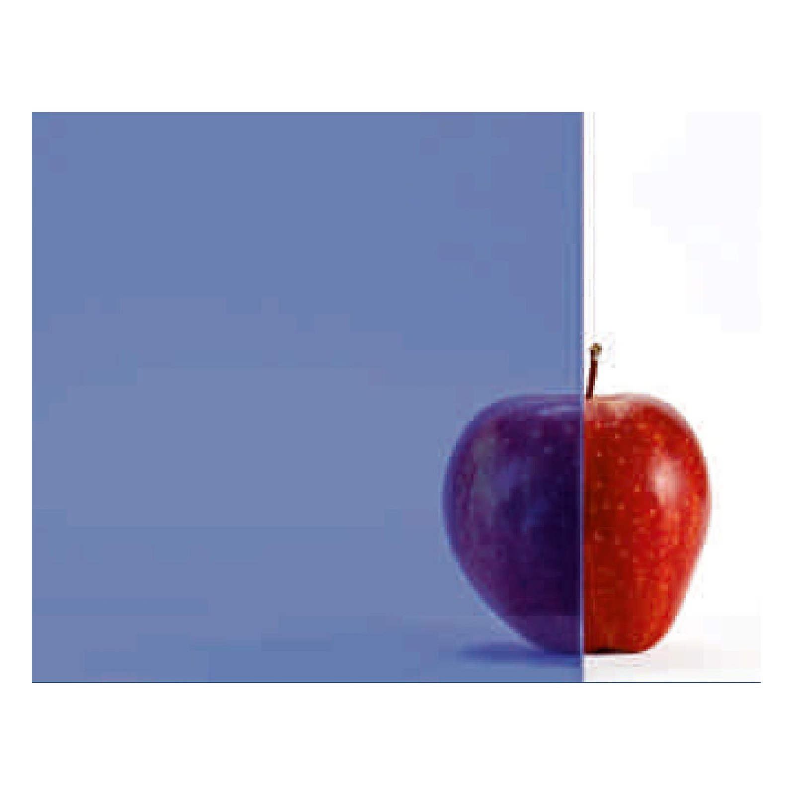 Tinted Float Glass